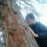 Аватара пользователя