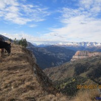 IMG_4766.JPG