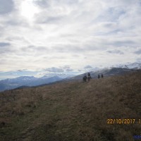 IMG_4788.JPG