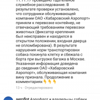 Перевозка животных Screenshot_2017-11-16-10-33-30-348_com.instagram.android.png