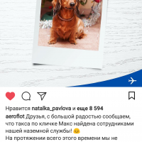 Перевозка животных Screenshot_2017-12-06-21-16-05-726_com.instagram.android.png