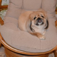 DSC_0005.JPG