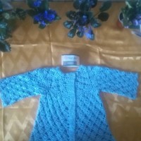 IMG_20170810_082813%7E2.jpeg