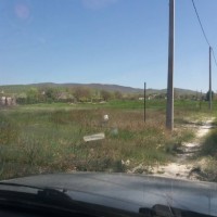 20180415_130808.jpeg