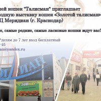 баннер общий.jpg