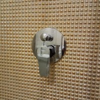 IMG_20181220_071032.jpg