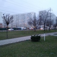 20181223_165141.jpg
