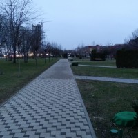 20181223_165154.jpg