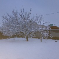 Из Сибири в теплый край! IMG_20190107_075514.jpg