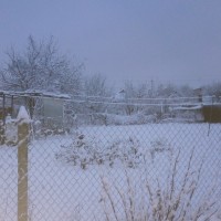 Из Сибири в теплый край! IMG_20190107_075525.jpg