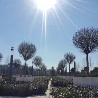 20190219_120744.jpg