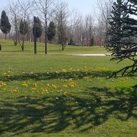 20190319_103802.jpg