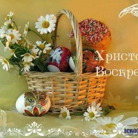 Из Сибири в теплый край! IMG-20190428-WA0003.jpg