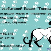 реклама для Зоомир.jpg