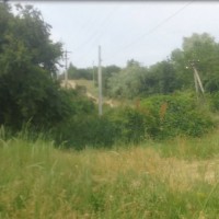 дорога.jpg