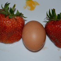 DSC_0635.JPG