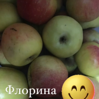 F31E3C2D-F04F-4E3B-9B33-EBA314F6B29E.png