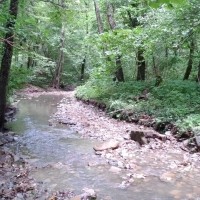 IMG_20210819_154905.jpg