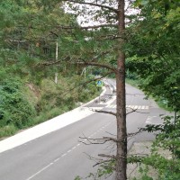 IMG_20210819_170302.jpg