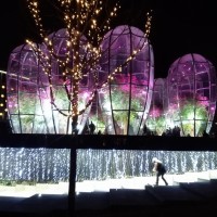 IMG_20230101_182026.jpg