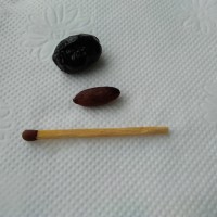 IMG_20230325_080651.jpg