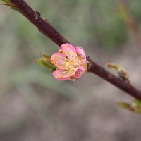 IMG_4849.JPG