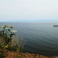 image2.jpg