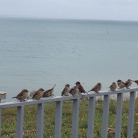 IMG_1036.JPG