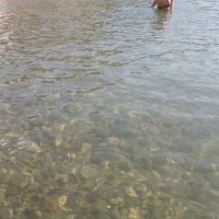 IMG_20150910_122838.jpg