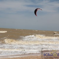 IMG_4649.jpg