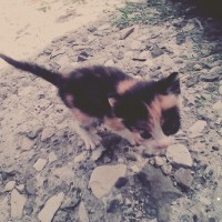 B612_20160815_145816.jpg