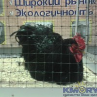 20170312_130034.jpg